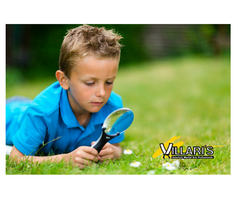 VILLARI’S #2 Karate Benefit: FOCUS